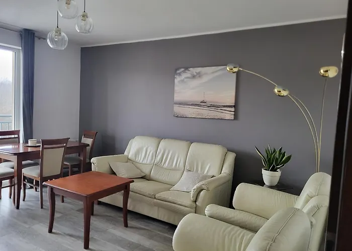 Duzy W Mieszkaniu Wspolnym Z Balkonem I Miejscem Parkingowym Dla Goscia Homestay Gdansk